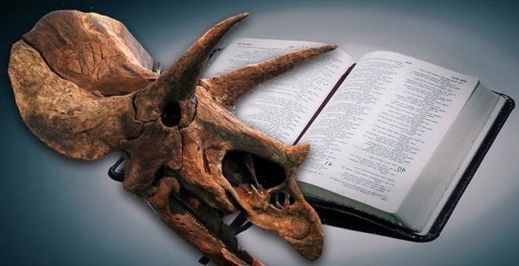 Dinosaur ‘missing link’ puts a major dent in theory of evolution, claims Bible expert