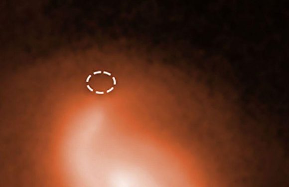 Earth picking up mysterious radio signals from ‘universe’s strongest magnets’