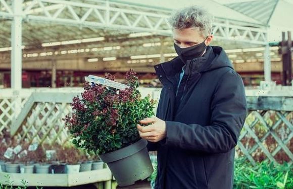 Experts urge plant buyers to use 'reputable British garden centres'