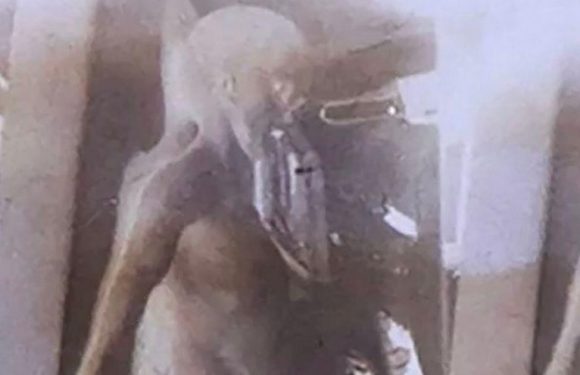 Famous picture of ‘alien body’ from top-secret film auctioned for £700k