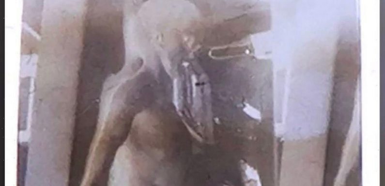 Famous picture of ‘alien body’ from top-secret film auctioned for £700k