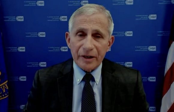 Fauci says the COVID-19 vaccines available in the US are likely to work against the variant first found in India