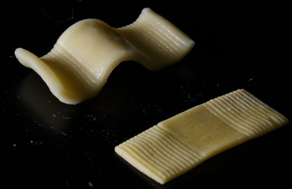 Flat Pasta That Turns Into 3-D Shapes — Just Add Boiling Water