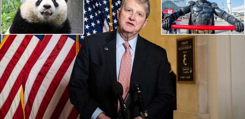 GOP lawmaker invokes pooping pandas, Batman costumes in opposing bill