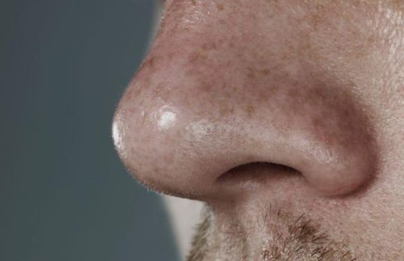 Having a big nose means a bigger penis, scientists say after measuring dozens