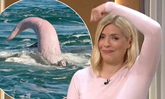 Holly Willoughby mortified after jumper is compared to a whale's penis