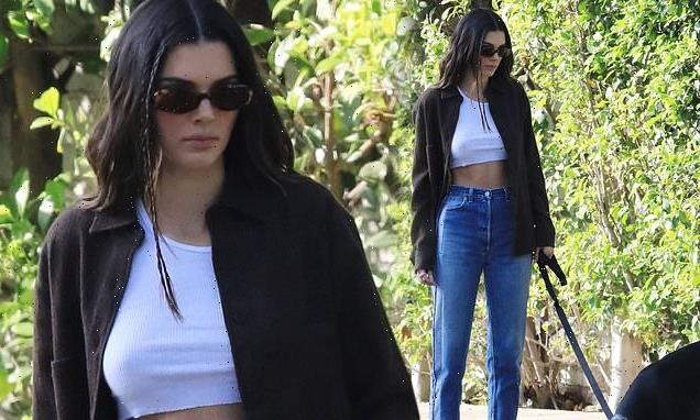 Kendall Jenner takes her dog Pyro out for a walk around Beverly Hills
