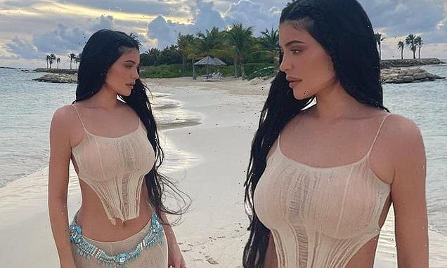 Kylie Jenner poses in a nude tank top that flashes her toned tummy