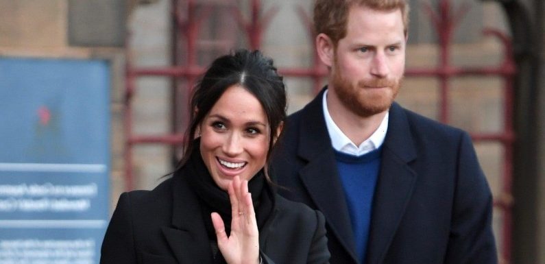 Meghan Markle & Prince Harry Release New Pic of Archie for Birthday