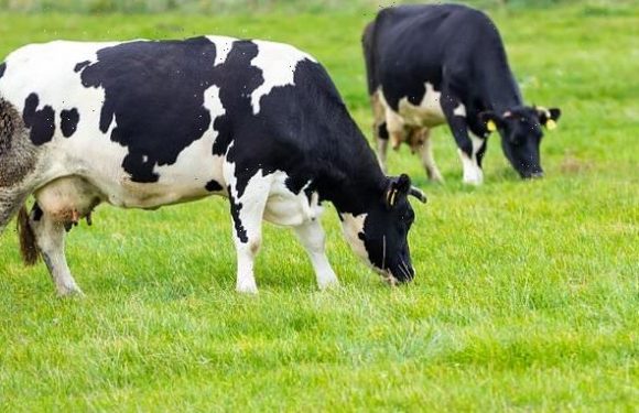 Methane levels made their biggest jump in 2020 since tracking began