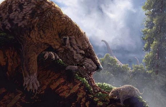 Modern mammal ancestors weren't held back by dinos but OTHER mammals