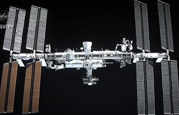 NASA project learns how microgravity impacts astronauts' spines