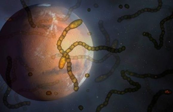 NASA’s Curiosity finds organic salts on Mars which could be a sign of ancient life