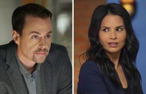 NCIS 2021: Audience tips Agent Knight as season 19 regular ‘Amazing so far’