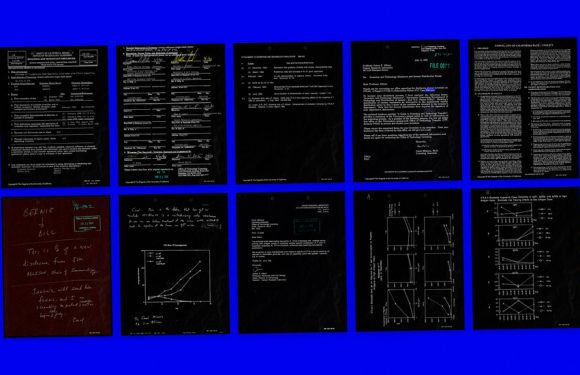 NFTs Linked to Nobel Prizes Are Being Auctioned by Berkeley