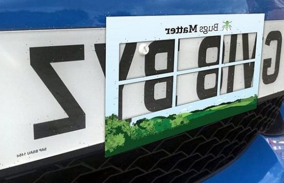 New app to track insect population by counting car number plate splats