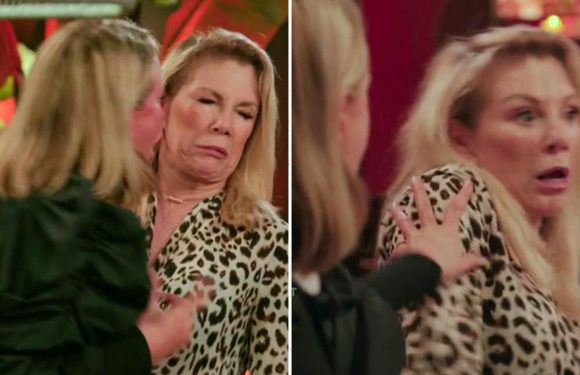 RHONY's 'drunken' Sonja Morgan SLAPS and PUSHES Ramona Singer in heated fight as fans 'worry' about star's mental health