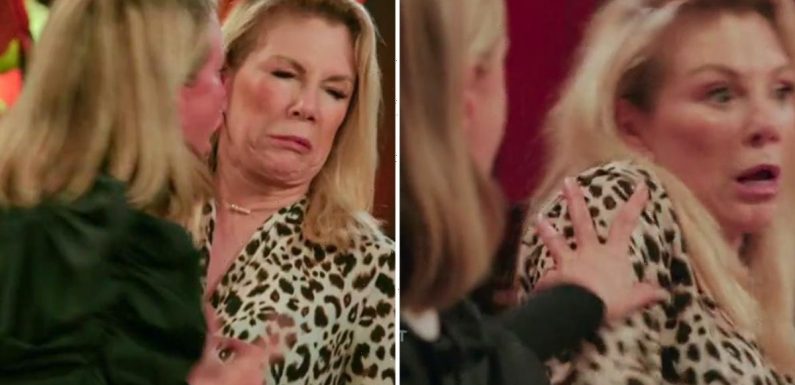RHONY's 'drunken' Sonja Morgan SLAPS and PUSHES Ramona Singer in heated fight as fans 'worry' about star's mental health