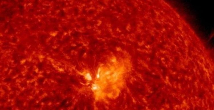 Sunspot releases ‘flurry’ of solar flares which could down radio on Earth