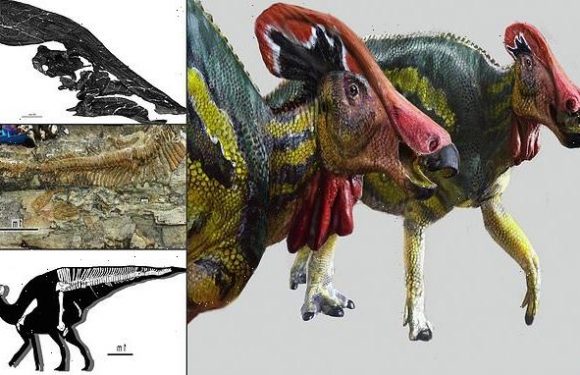 'Talkative' dino made sounds to scare away predators and attract mates
