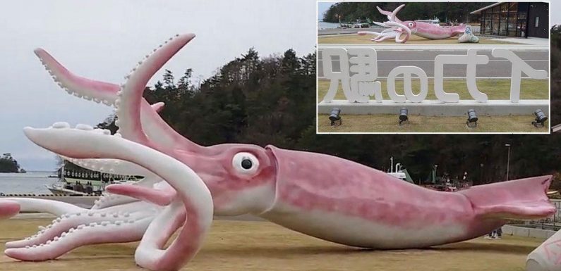 Town splashes out £165,000 of public Covid fund on a massive illuminated squid