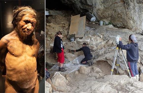 Traces of Neanderthal DNA extracted from cave dust in Spanish cave