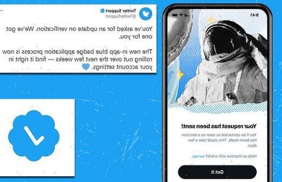 Twitter relaunches verification to let people have the blue tick