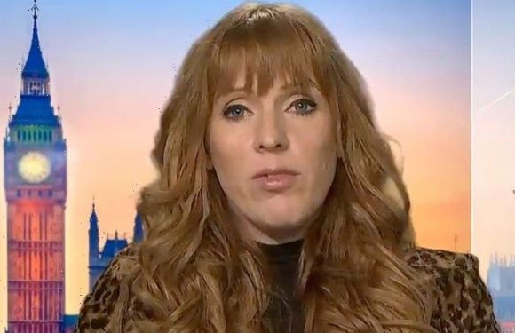 ‘Unelectable believing unbelievable!’ Rayner shamed for Cummings U-turn when it suits her