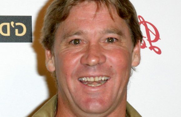 What You Never Knew About Steve Irwin