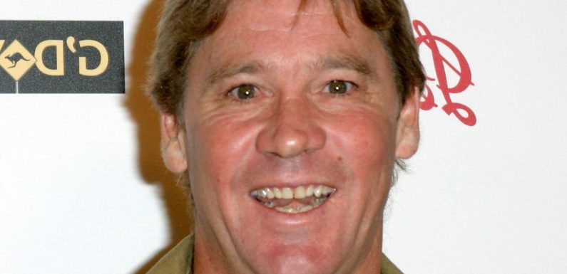 What You Never Knew About Steve Irwin