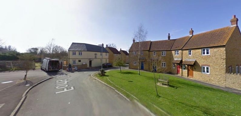 Woman, 31, charged with murdering man, 45, who died after being stabbed in Somerset village