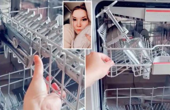 Woman shares easy dishwasher hack which instantly makes it easier to fit more in