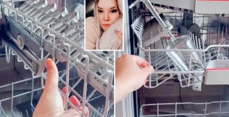 Woman shares easy dishwasher hack which instantly makes it easier to fit more in