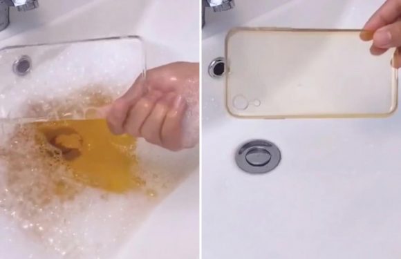 Woman takes strip-cleaning to a new level by sprucing up her PHONE case – and the result will make you sick