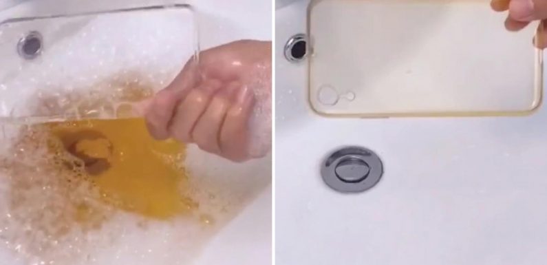 Woman takes strip-cleaning to a new level by sprucing up her PHONE case – and the result will make you sick