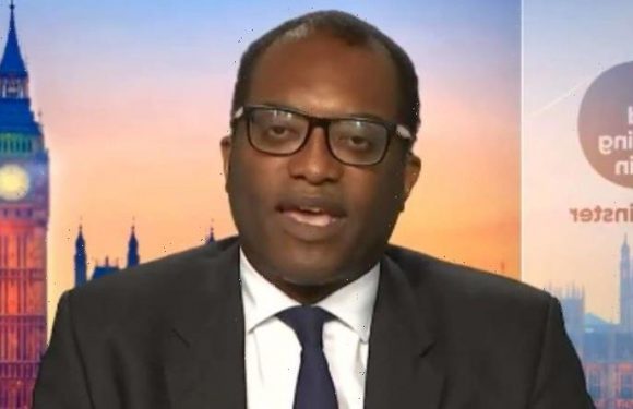‘Didn’t want to lose trade dea!l’ Kwasi Kwarteng skewered over India red list bungle