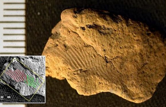 5,000-year-old fingerprints on Neolithic pottery left by two males