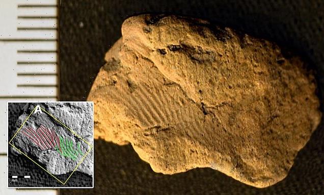 5,000-year-old fingerprints on Neolithic pottery left by two males