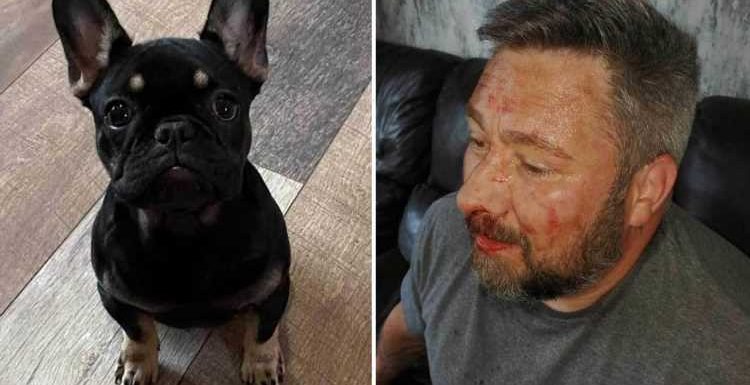 Amputee dad-of-three, 39, knifed after thugs try to steal his nine-month-old French Bulldog
