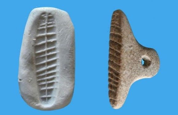 Archaeology news: 7,000-year-old prehistoric seal unearthed in Israel predates writing
