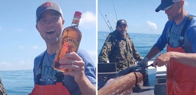Baffled angler slices open fish and finds unopened bottle of whisky in its belly