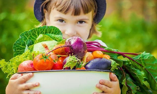 Children on trendy vegan diets are 1.2 inches SHORTER on average