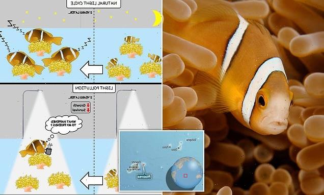 Clownfish living closest to shore die FASTER than those further out