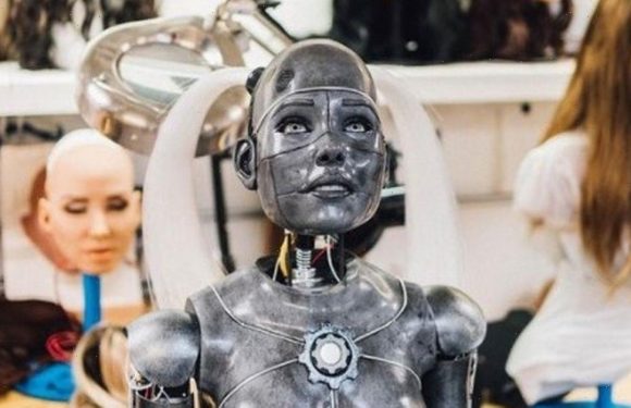 Desperate sex robot fans pledge their own money to speed up AI doll advancements