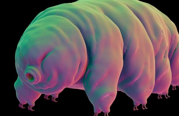 Existence of extraterrestrial life ‘all but confirmed’ claim scientists