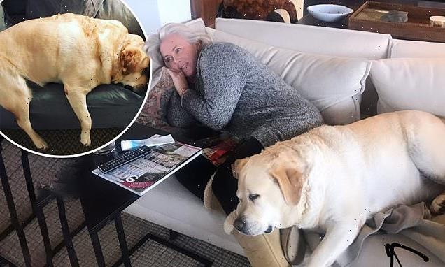 Fans worry for Banjo's health after Samantha Armytage shares images