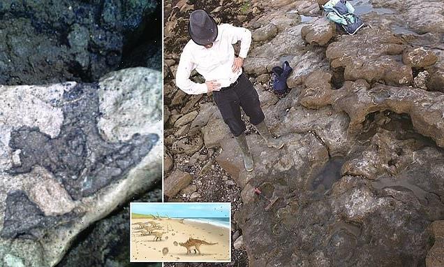 Footprints of the last dinosaurs on UK soil are discovered near Dover