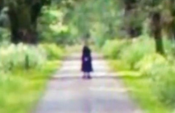 Google Earth user discovers creepy figure like ‘Blair Witch’ woman in forest