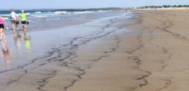 Horror as strange black substance on beach turns out to be millions of dead bugs