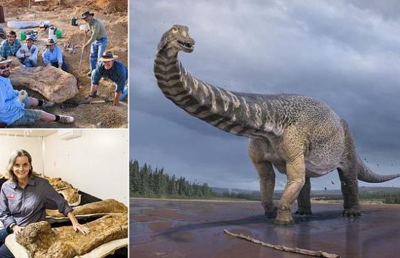 Huge dino as long as a BASKETBALL COURT once roamed Australia